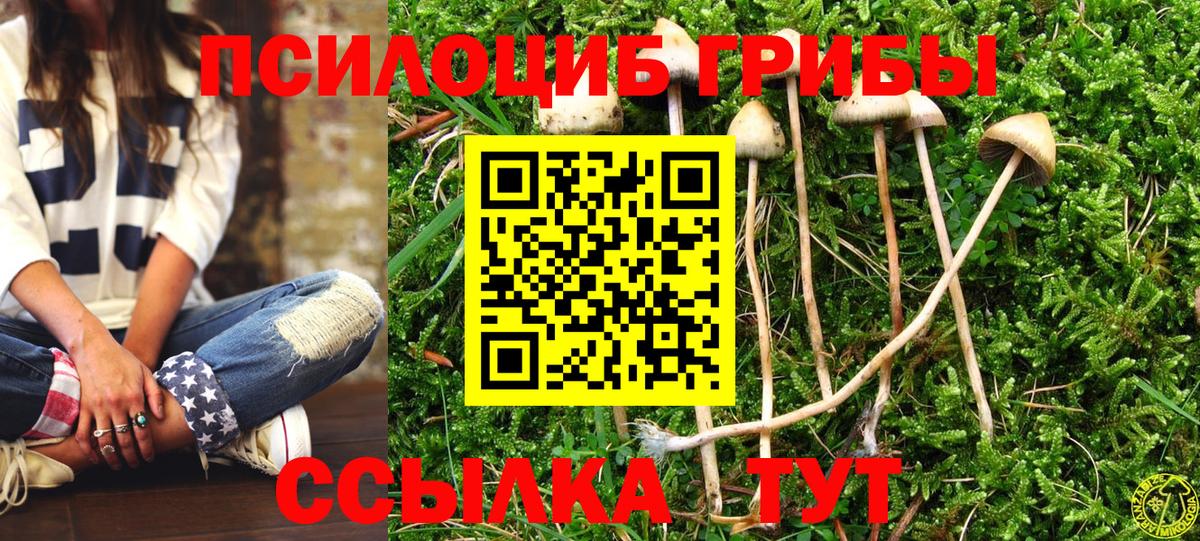 Галлюциногенные грибы мухоморы Городец